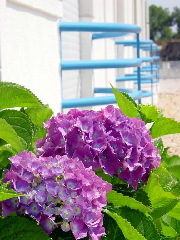 Quinta Do Lago Verde Коруши Экстерьер фото